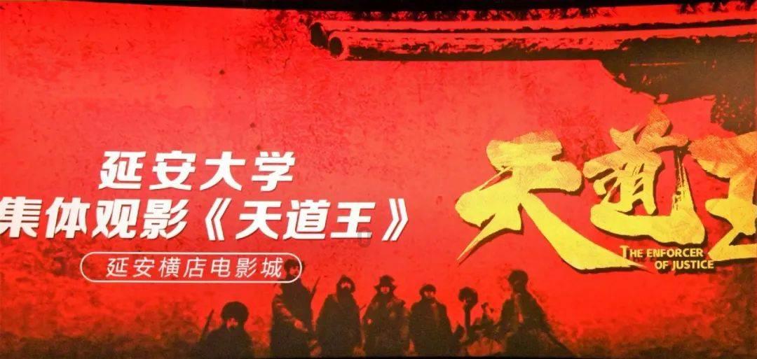 泰安市2023年度民政统计报表汇审工作顺利开展